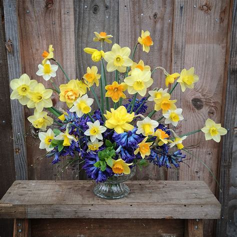 Fresh Flowers Moon Petal Farm