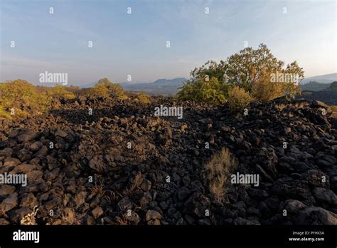 Paricutin Volcano, Mexico Stock Photo - Alamy