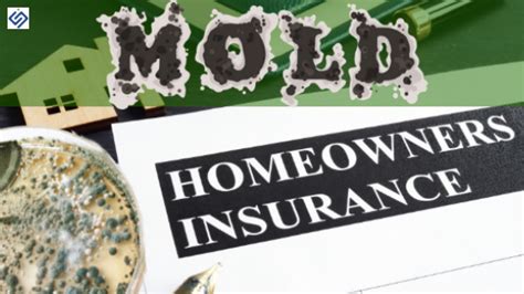 Does Homeowners Insurance Cover Mold Si Restoration