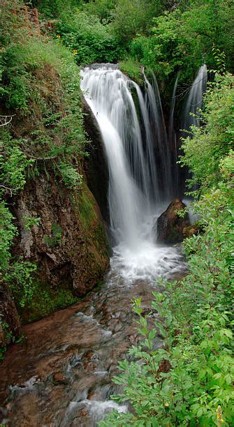 Black Hills Fall Stock Photos Pictures And Royalty Free Images Istock