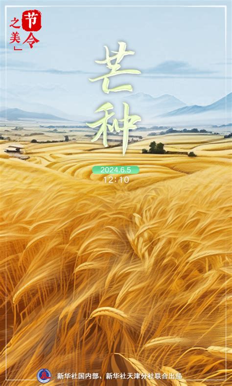 节令之美｜芒种：仲夏始登场 “三夏”大忙时 - 新华网客户端