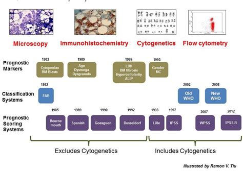 Myelodysplastic Syndrome Pathophysiology