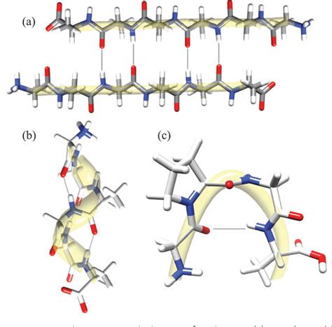 Figure From Solid State Nmr Evidence For Elastin Like Beta Turn