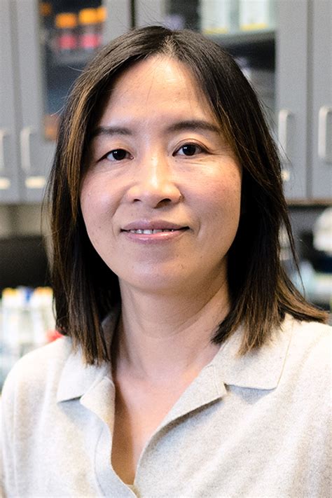 Zhang Awarded 448 200 For National Institutes Of Health Heart Disease