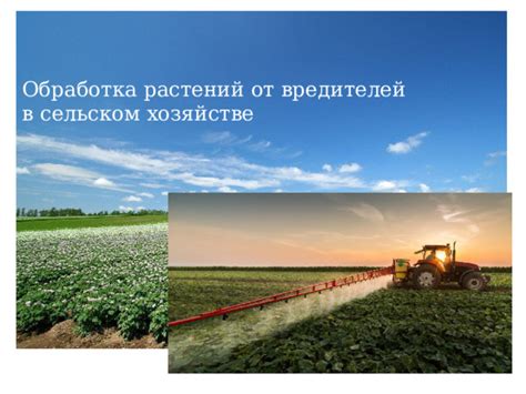 Биологические методы борьбы с вредителями комнатных растений