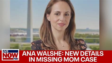 Ana Walshe New Details Evidence In Missing Massachusetts Mom Case