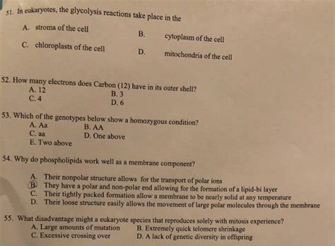 Solved 8. The process in which an RNA polymerase molecule | Chegg.com 