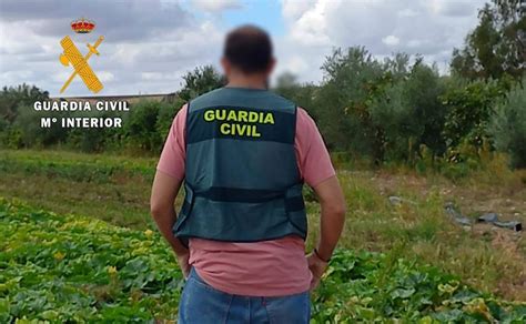 Cuatro detenidos por robar más de 1 100 kilos de productos