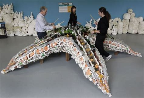 San Francisco Zoo Transforms Plastic Ocean Trash Into Art