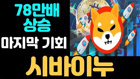 시바이누 Shib 시바이누 이 코인 78만배 상승 인생 역전 기회 시바이누코인 시바이누목표가 시바이누전망 Youtube