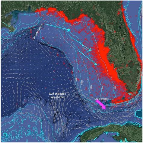 Red Tide – What Is Red Tide – Red Tide Causes | START