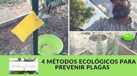 4 Métodos Insecticidas Orgánicos Para Prevenir Plagas Huertas Y Cerveza Youtube