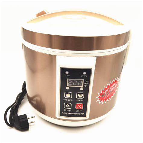 110V 220V 5L Automatic Black Garlic Fermenter Household DIY Zymolysis