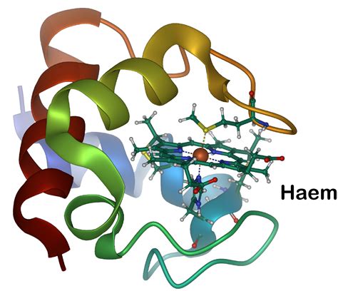 Ligand Small Molecule Biomacromolecular Structures