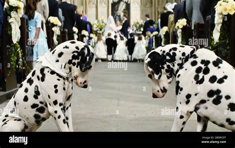 101 Dalmatians 1996 Joely Richardson Hi Res Stock Photography And