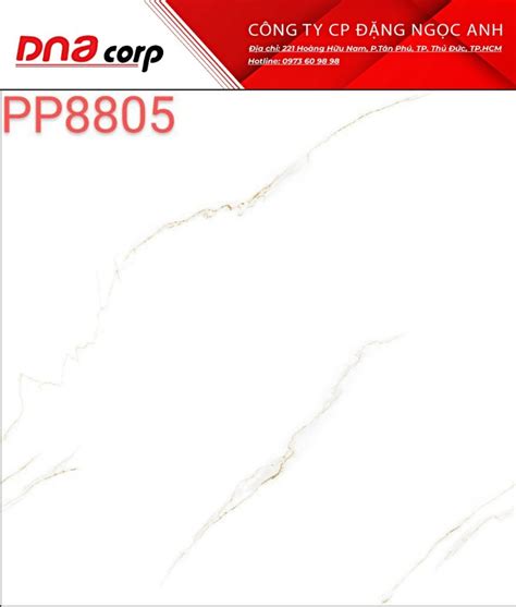 PP8805 – dnacorp