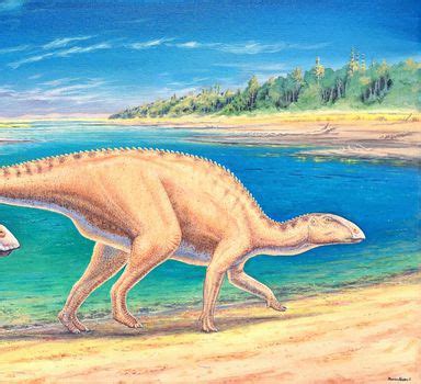 Conheça o tataravô dos dinossauros o Venetoraptor que tem bico de