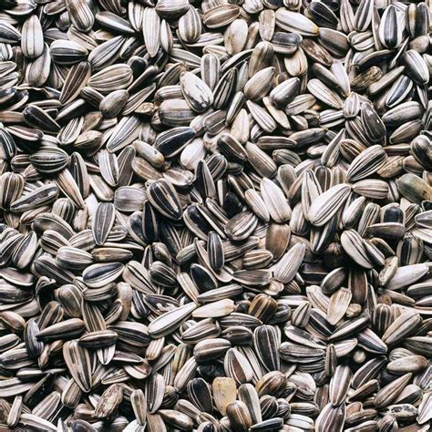 Health Benefits of Sunflower Seeds