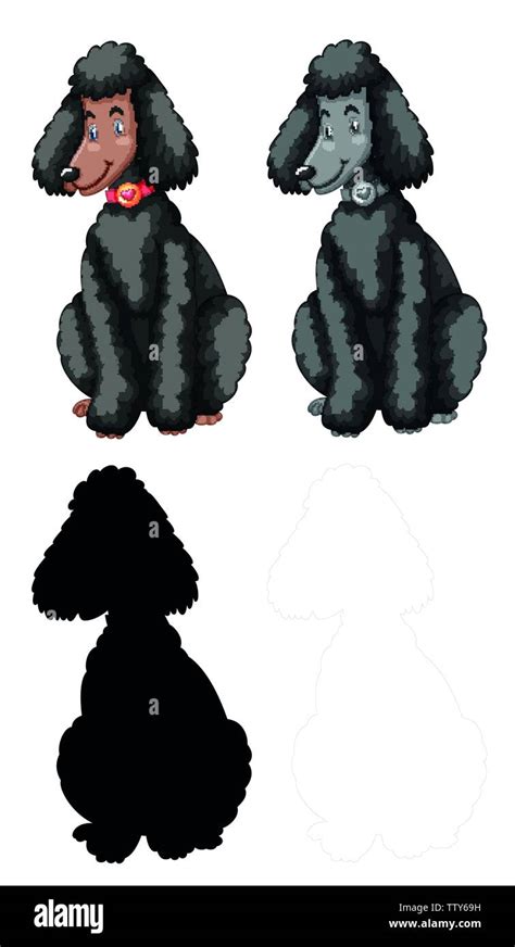 Set of poodle character illustration Stock Vector Image & Art - Alamy