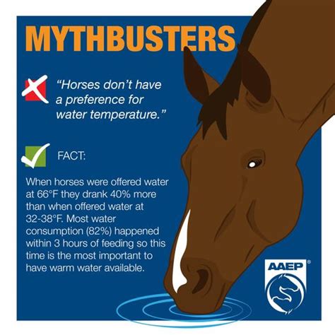 Horses and Water Consumption - Oregon Horse Council