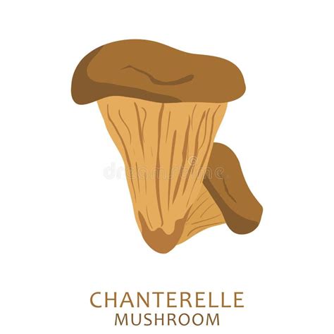 Champignons Bruns De Chanterelle De Bande Dessinée D isolement Sur Le