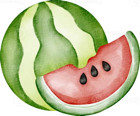 Watercolor Watermelon Fruit Clip Art 23297573 Png