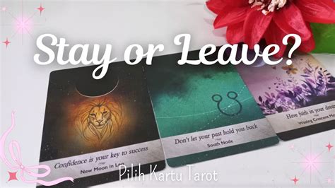 Pilih Kartu Tarot Stay Or Leave Haruskah Pergi Atau Bertahan