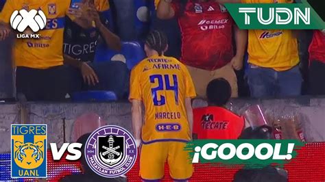 Un Golazo De Marcelo Flores Tigres Mazatl N Cl Liga Mx