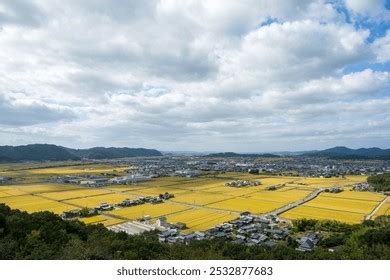 shutterstock