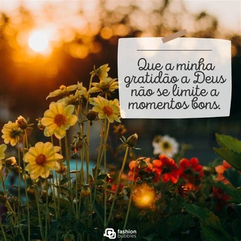 Frases De Agradecimento Mensagens Para Demonstrar Gratid O