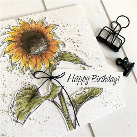 Laura S Creative Moments Sunflower Birthday Cards