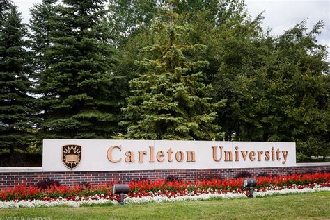 10 Easiest Courses at Carleton University - OneClass Blog