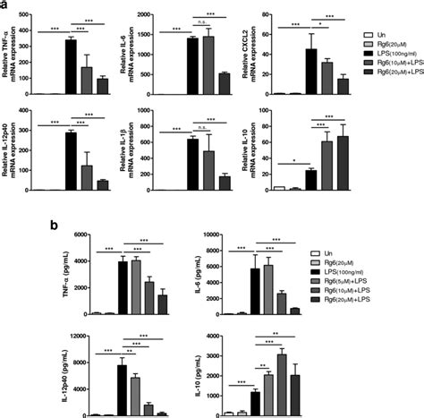 Ginsenoside Rg Treatment Decreases The Expression Of Lps Induced