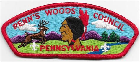 Penn S Woods Council Strip Csp Vintage Boy Scouts Of America Bsa Ebay