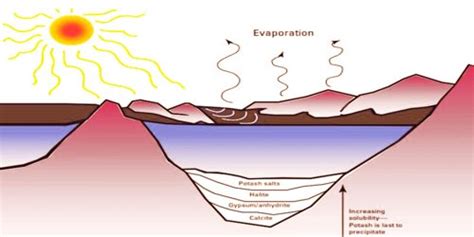 Evaporite - Assignment Point