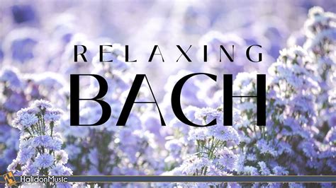 Bach Classical Music For Relaxation Youtube