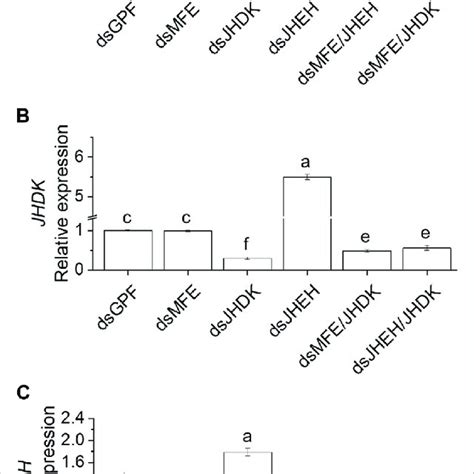 Comparison Of Rnai Mediated Silencing Efficiency Induced By A Single