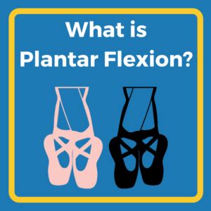 Plantar Flexion Definition: Learn About Related Injury and Pain