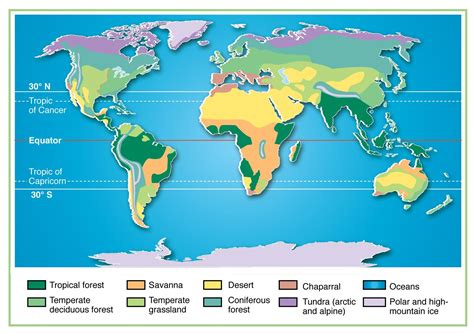 temperate rainforest biome map