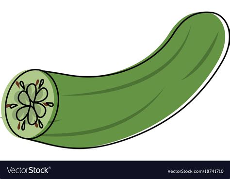 Cucumber Fresh Vegetable Royalty Free Vector Image