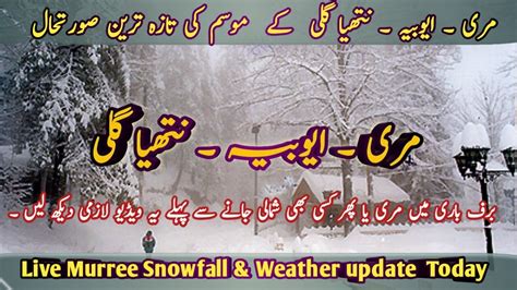 Latest Murree Snowfall Weather Update Murree Live Today Murree