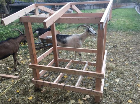 Horned Goat Feeder The Best Low Waste High Efficiency Feeder For Goats