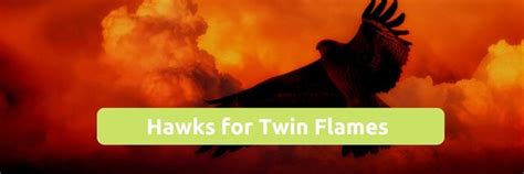 Meaning Of A Hawk For Twin Flames Twin Flame Test