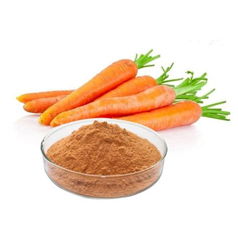 Dehydrated Carrot Powder Venkatesh Naturals