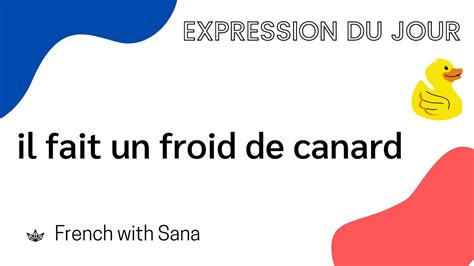 French Expressions Il Fait Un Froid De Canard YouTube