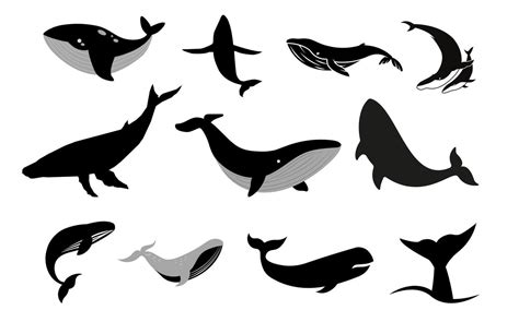 whales blue whale silhouette blue whale icon set whale