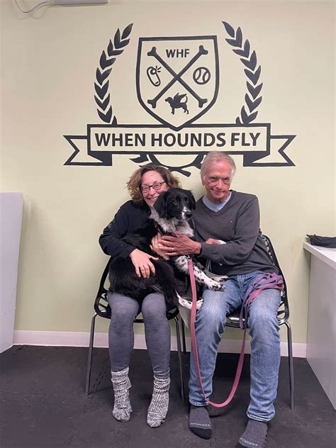 Client Success: Lady's Transformation from Terrified to Teacher's Pet