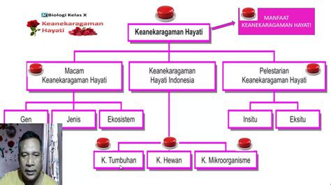 Detail Peta Konsep Keanekaragaman Hayati Koleksi Nomer