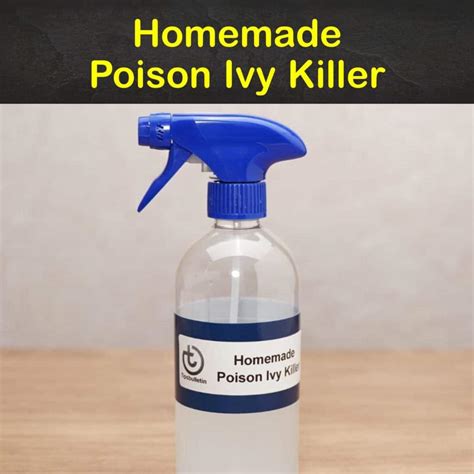 Homemade Poison Ivy Killers 7 Natural Tips To Kill Poison Ivy