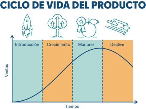 El Ciclo De Vida De Un Producto Y Sus Fases Milagros Ruiz Barroeta